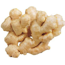 Hot Selling Export Natural Wholesale Chinese High Quality Fresh Air Dried Ginger